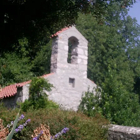 Cajic