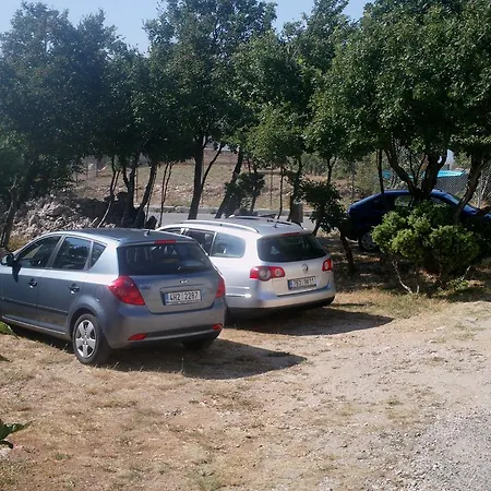 Cajic * Povile
